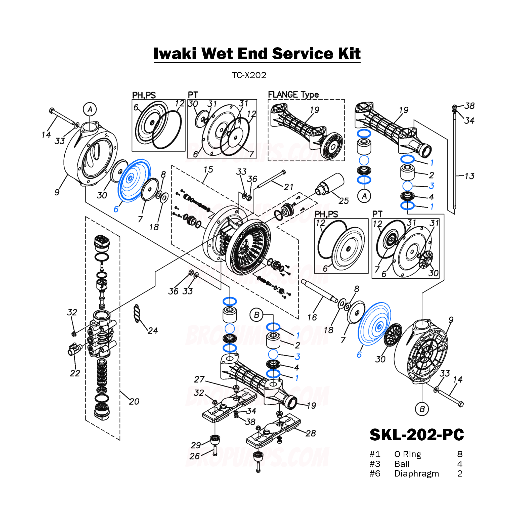 Iwaki GFPP TCX202 Neoprene Diaphragm Service Kit SKL202PC BroPumps