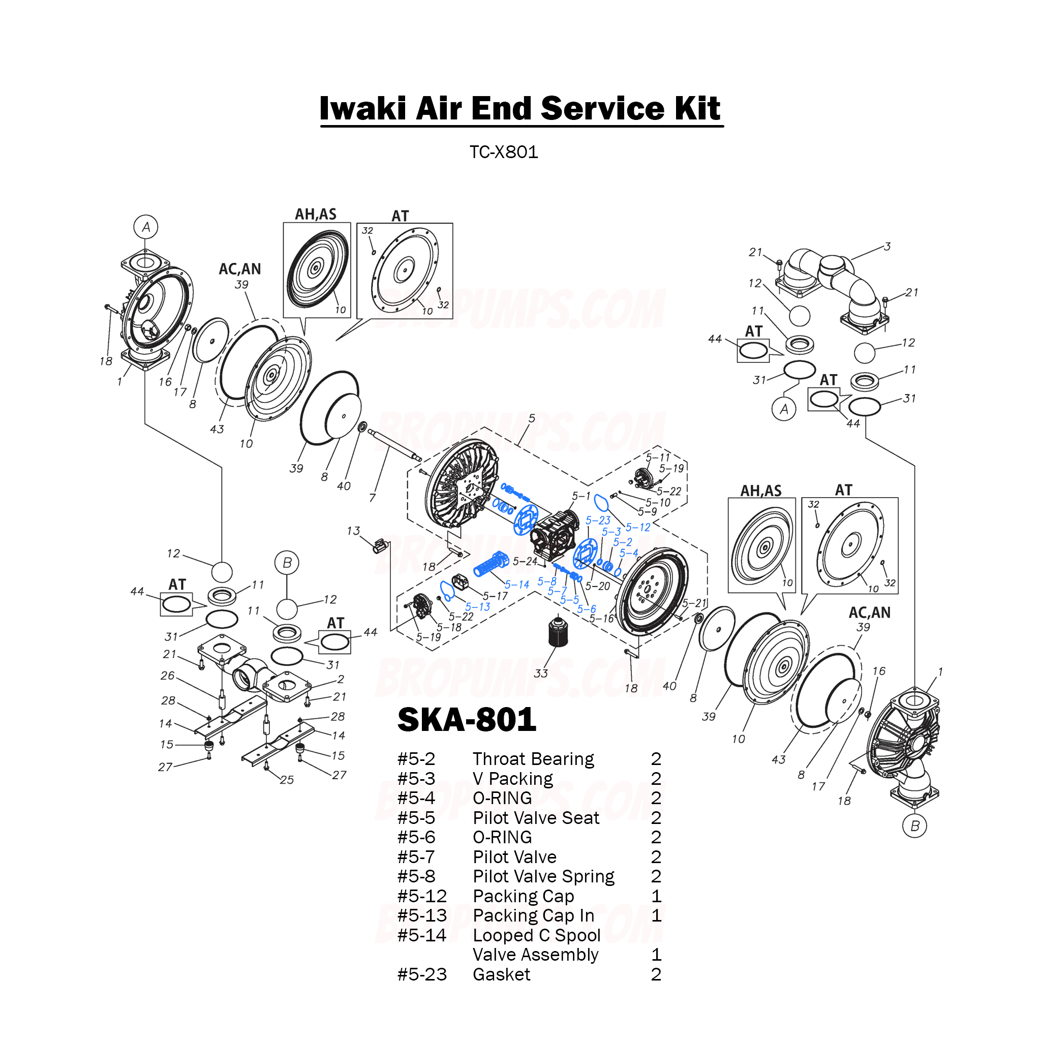 Iwaki TC-X801 Air End Service Kit SKA-801